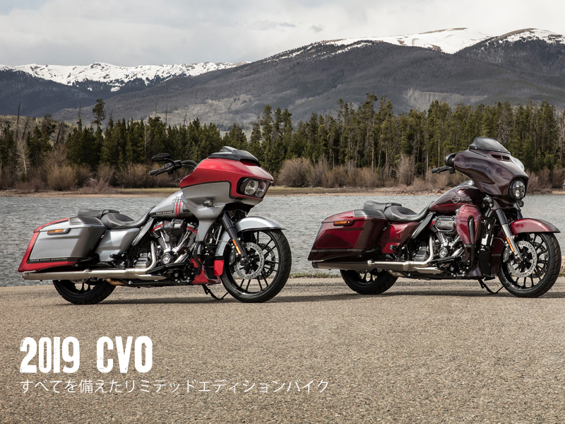 2020年 CVOモデル