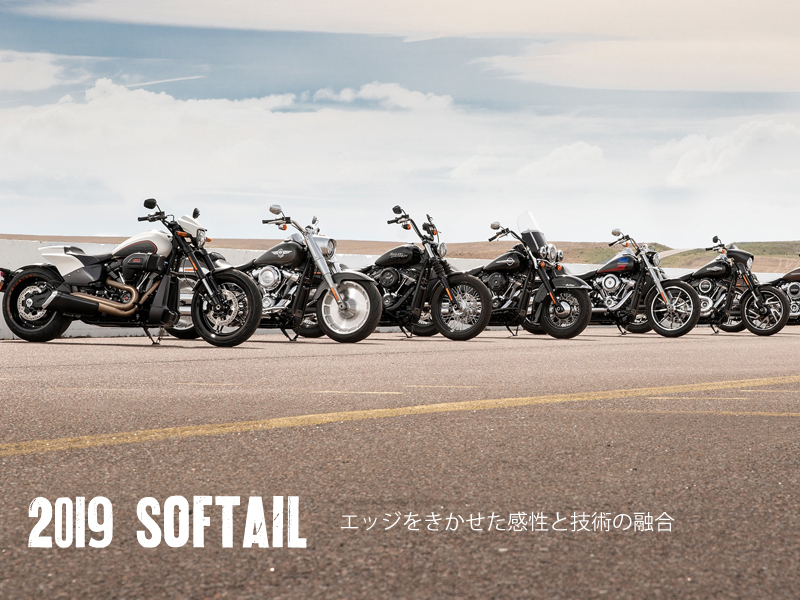 2020年 Softail ソフテイル